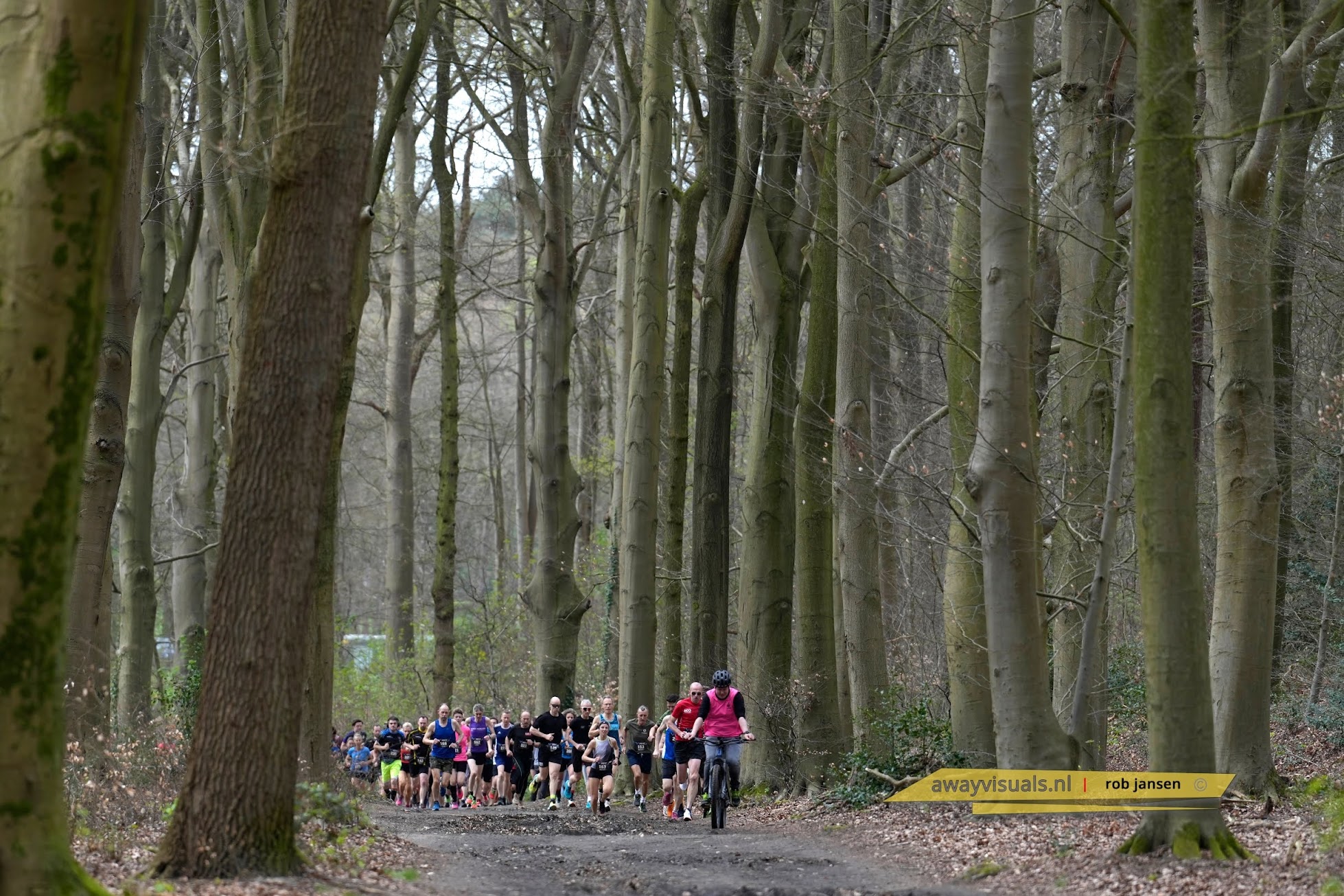 Foto Lochemsebergloop