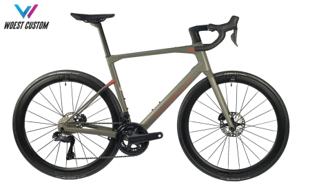 BMC Roadmachine 01 Custom